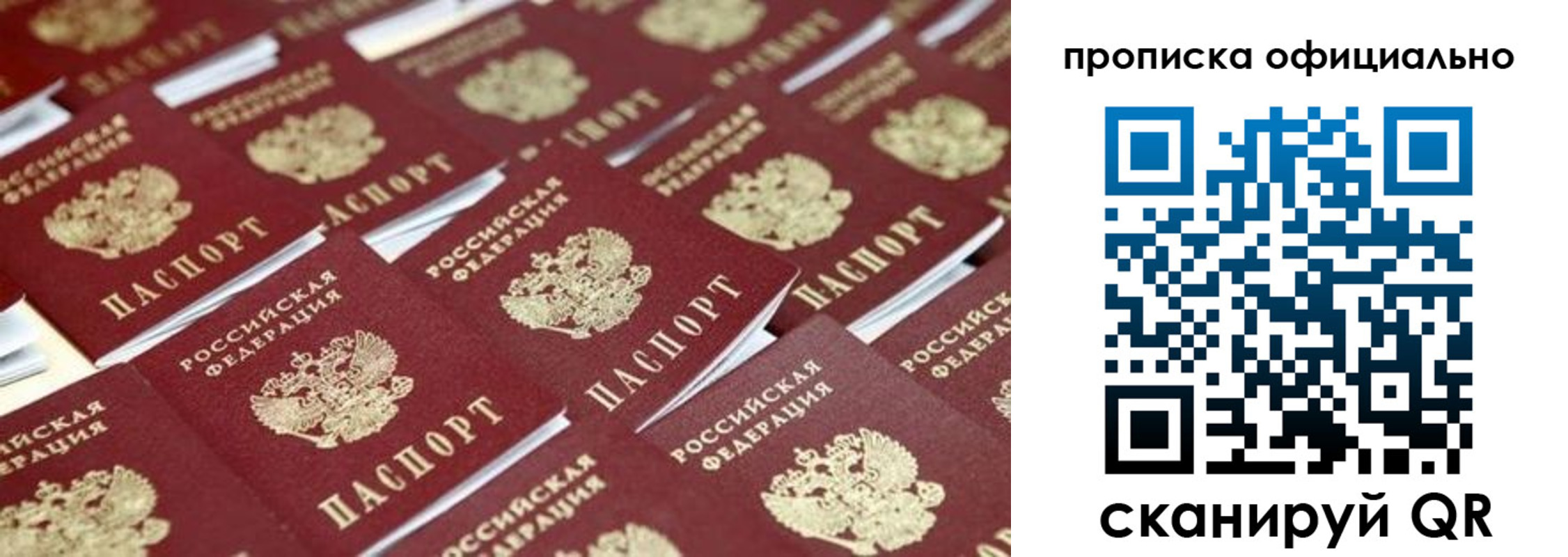прописка гарантия в Вологодской области